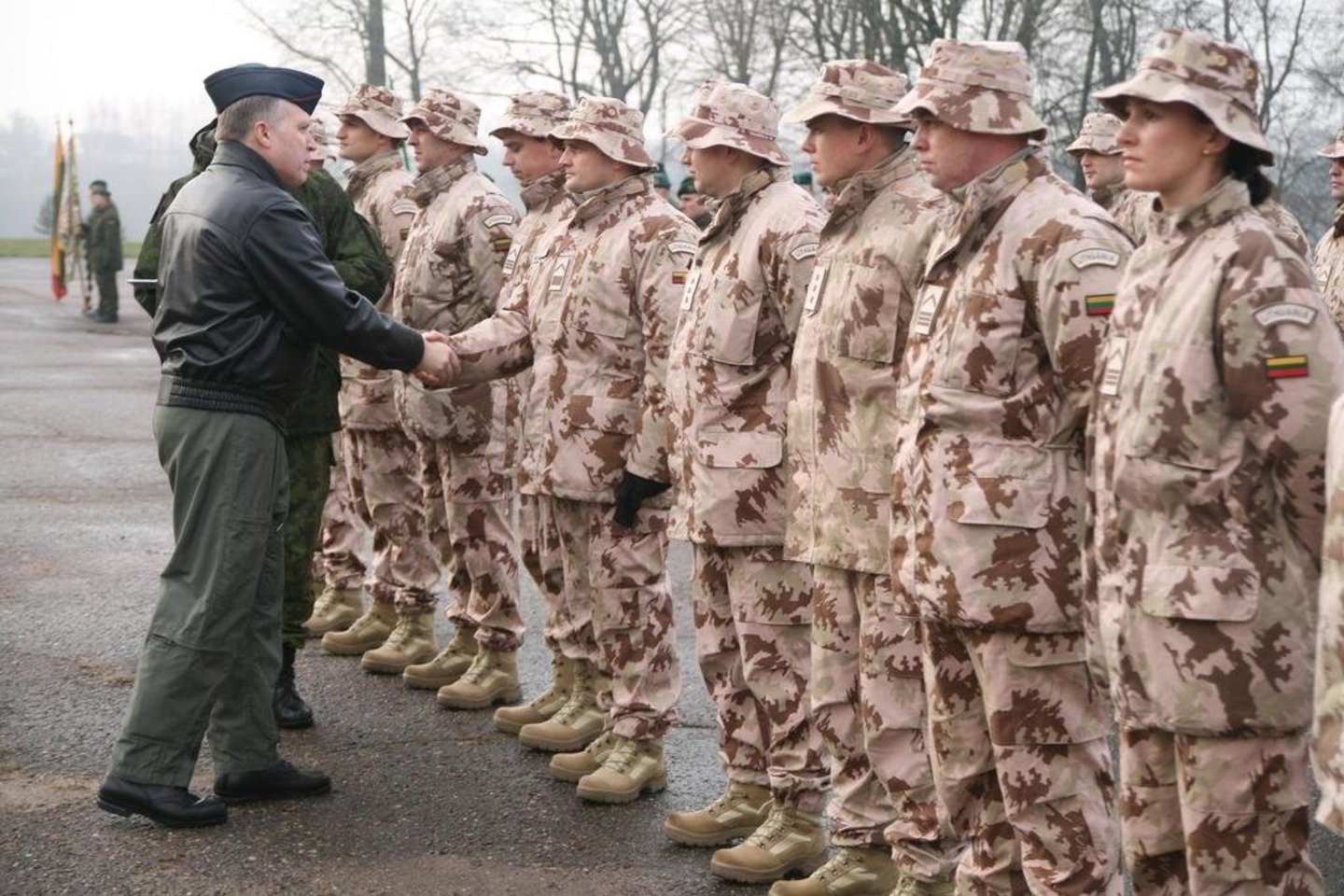 Nacionalinis paramos elementas Lietuvos kariuomenėje buvo įsteigtas 2009 m. siekiant užtikrinti efektyvesnį Lietuvos karinių vienetų, tarnaujančių tarptautinėse operacijose, logistinį aprūpinimą ir šio aprūpinimo kontrolę.