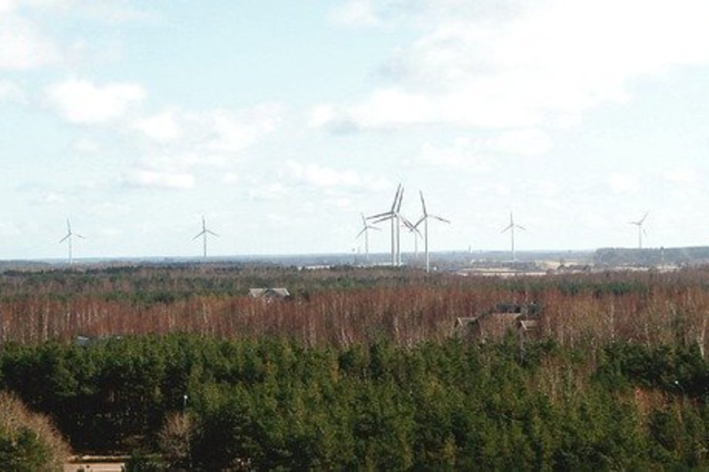Plečiantis vėjo elektrinių tinklui vėjo jėgainės negali dirbti visu pajėgumu.