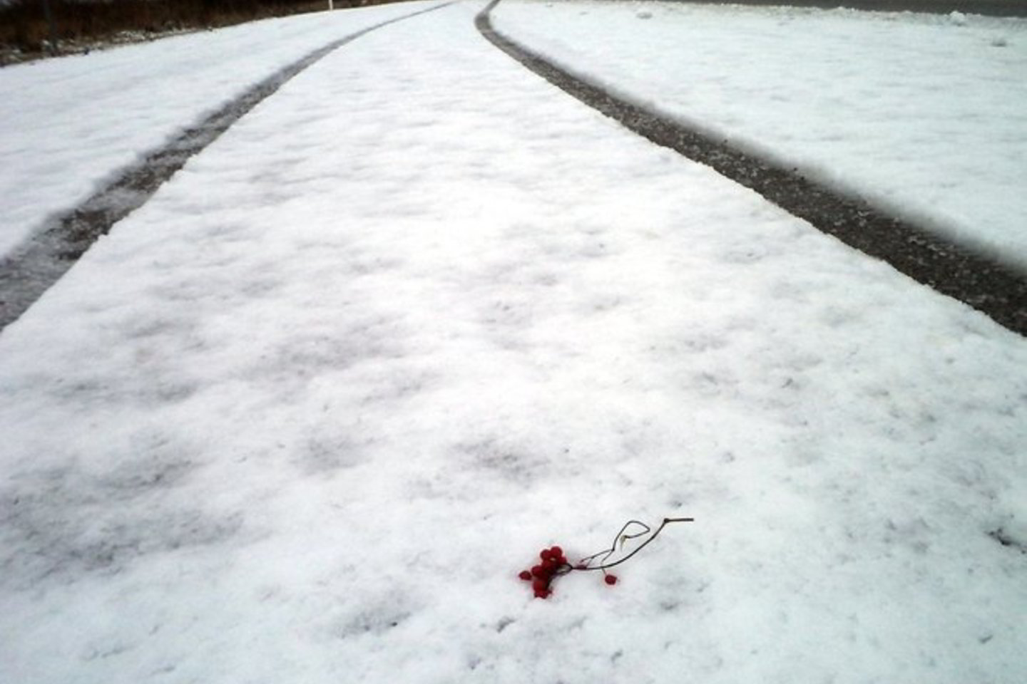 Vakarinėje ir šiaurinėje šalies dalyse drimba šlapdriba, Akmenės rajone susidarė plikledis.
