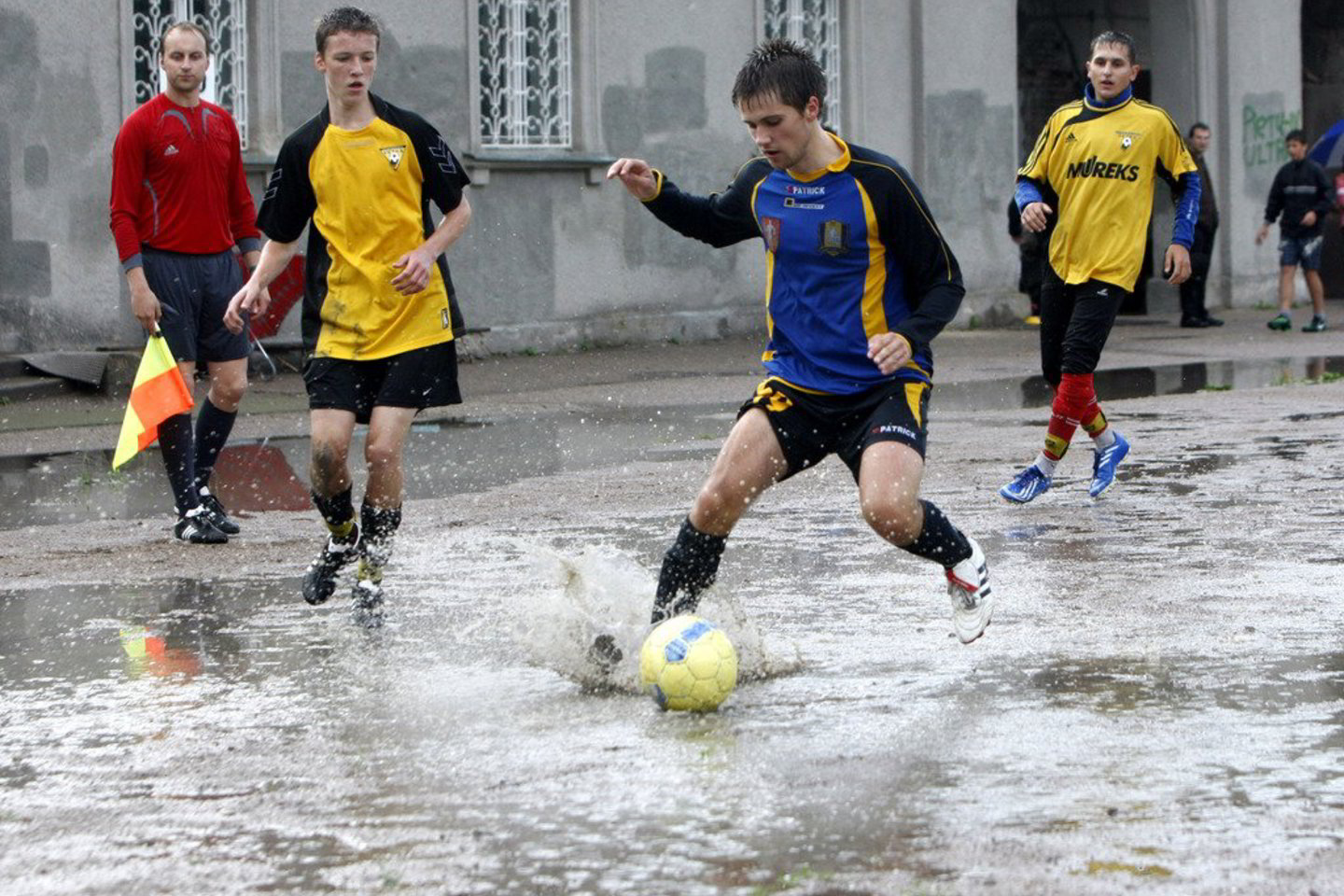 R.Danisevičius