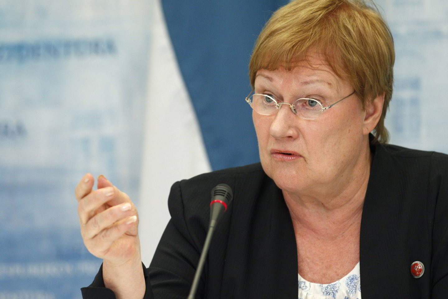 T.Halonen, baigianti savo kadenciją valstybės vadovės poste, antradienį su atsisveikinimo vizitu atvyks į Maskvą