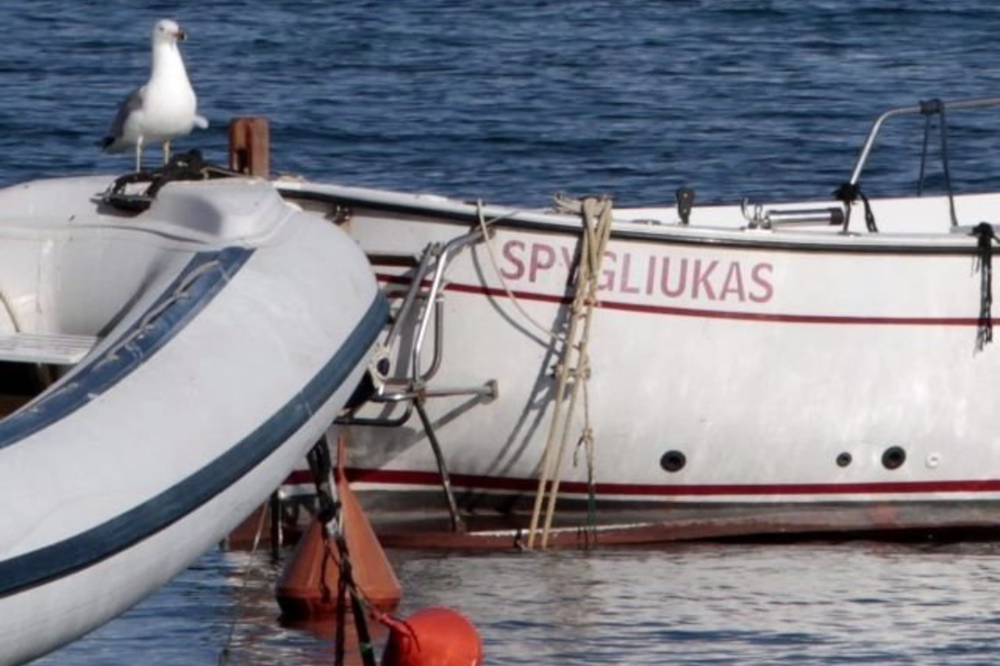 Agentūros AP fotografai aiškiai užfiksavo valtį, pavadinimu „Spygliukas“.