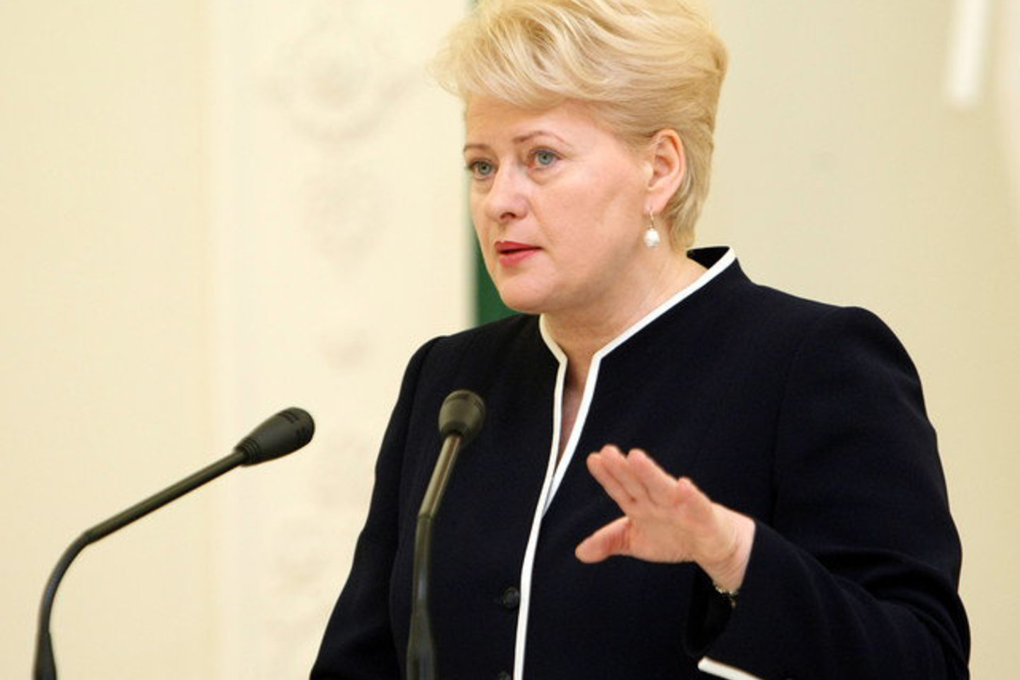 D.Grybauskaitė teigia, kad Lietuva jau seniai laikosi griežtos fiskalinės politikos.