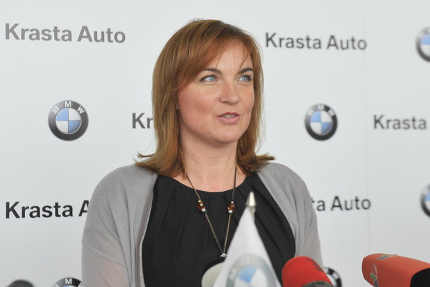 Automobilių verslo įmonė „Krasta“ valdo 8 bendroves, jai vadovauja 16 metų patirtį šiame versle turinti Asta Bagdonavičienė.