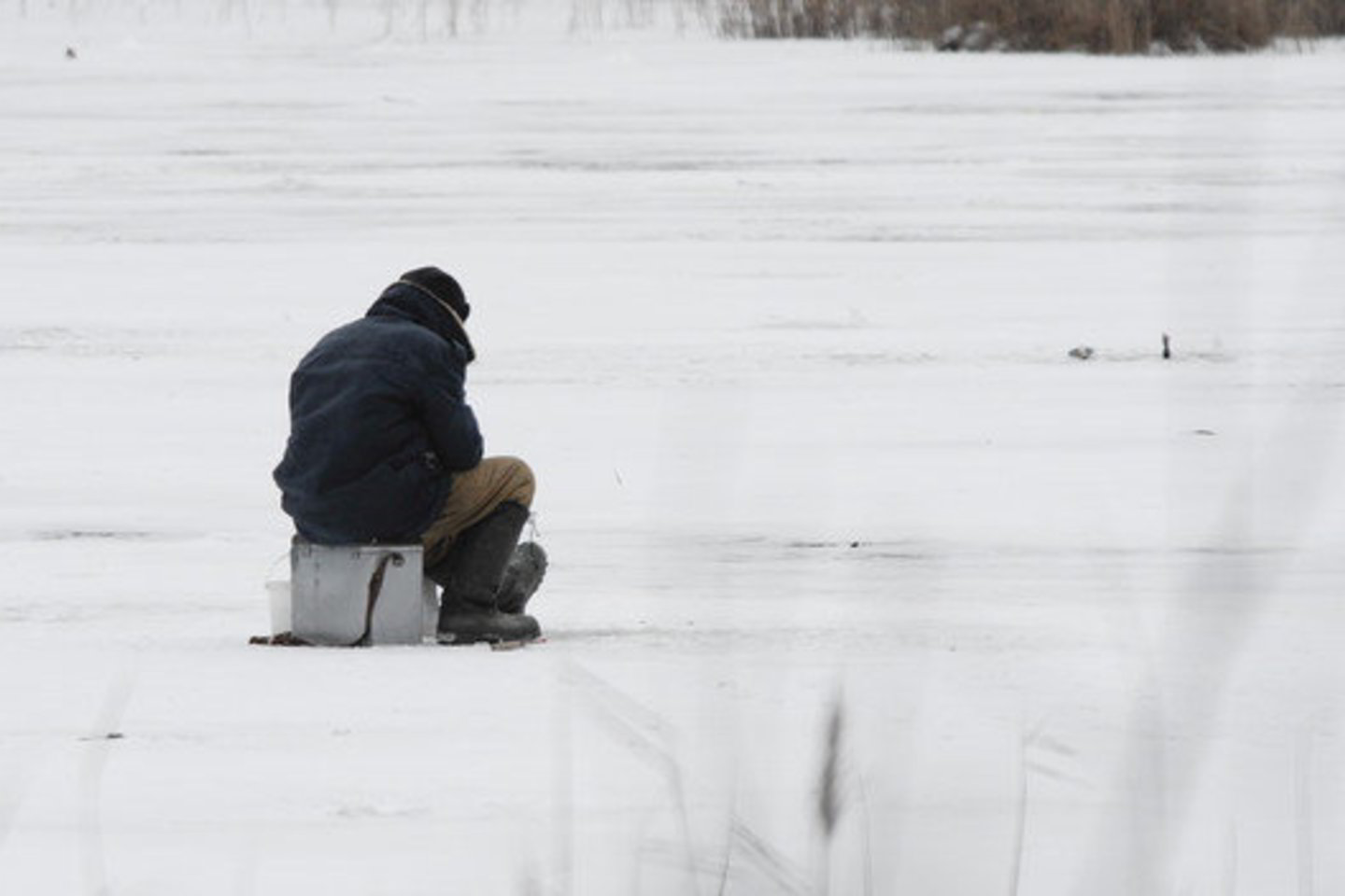 Ledo storis ant Molainių tvenkinio siekė vos 2 – 3 centimetrus. Meteorologai perspėja, kad ledas yra per plonas, kad išlaikytų žmogų.