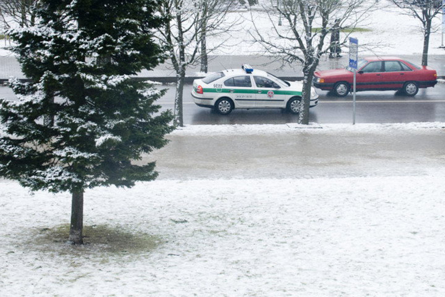 Temperatūra šią naktį - nuo 7 iki 2 laipsnių šalčio, formuosis plikledis.
