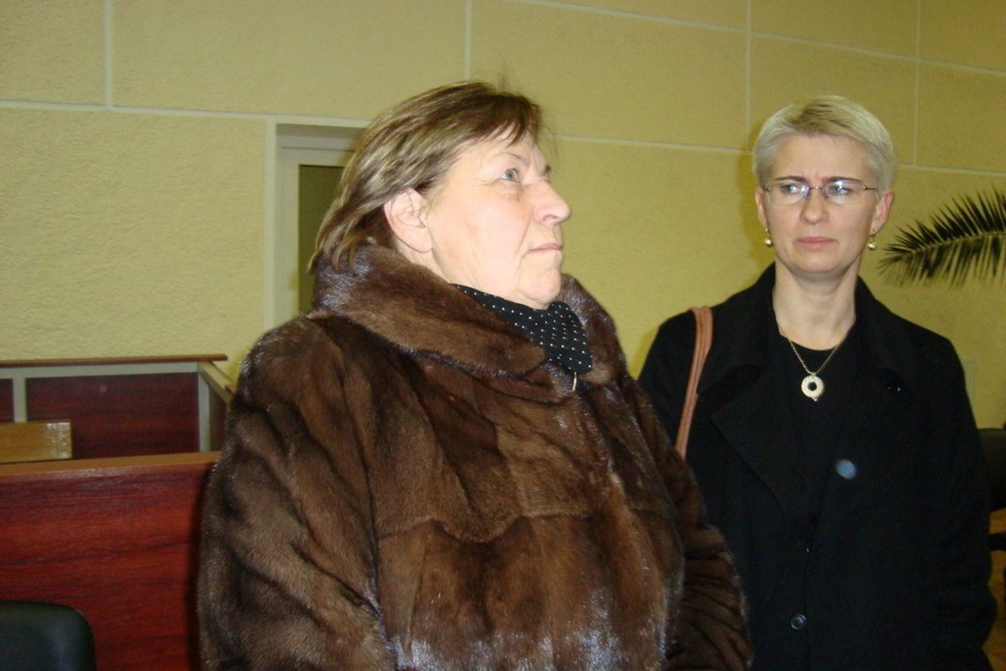 Prieš daugiau nei metus panevėžiečiams teisėjams piktų žodžių nepagailėjo ir L.Kedienė (kairėje), ir jos dukra N.Venckienė.