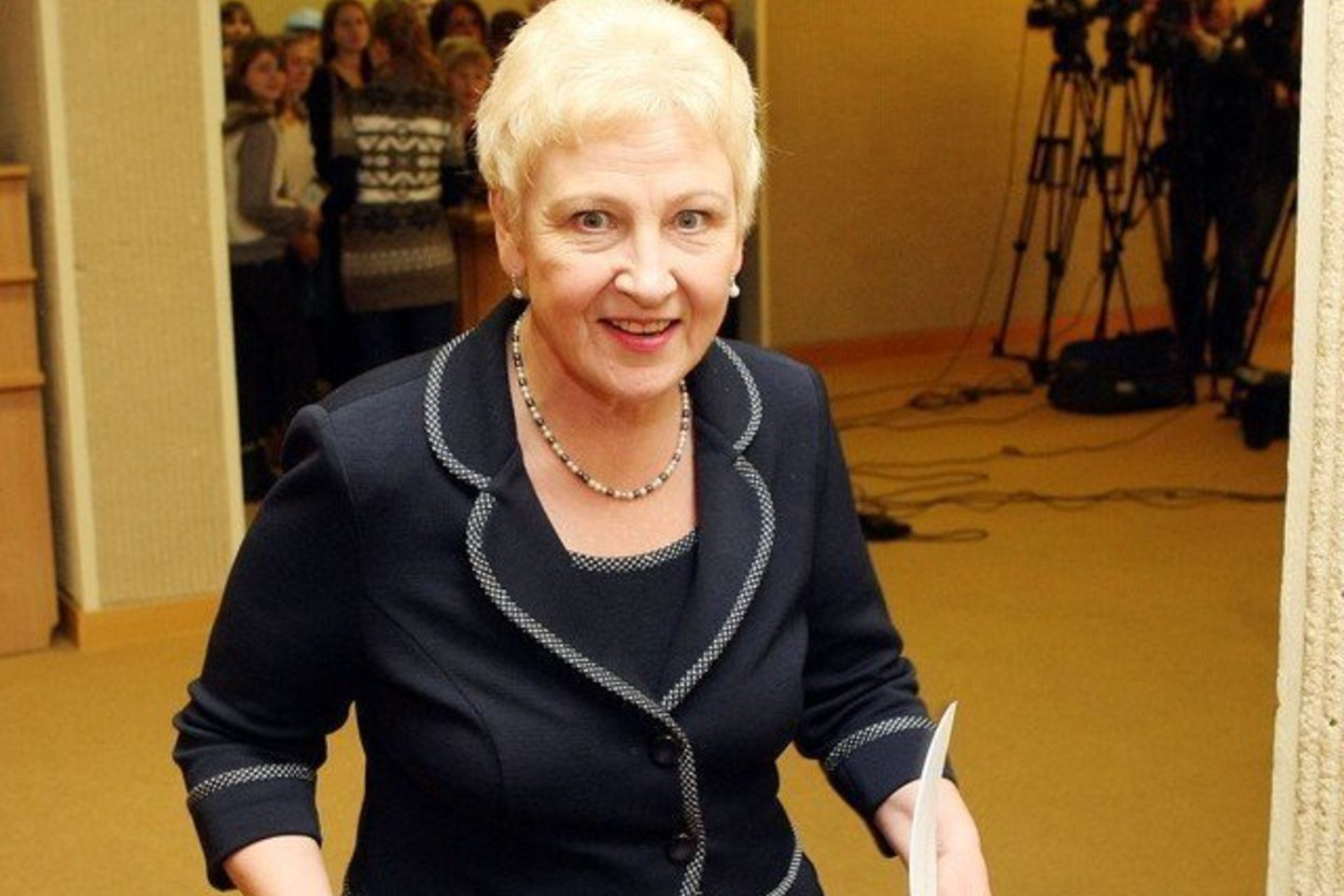 Ikiteisminį tyrimą organizuoti ir jam vadovauti pavesta Vilniaus apygardos prokuratūrai.