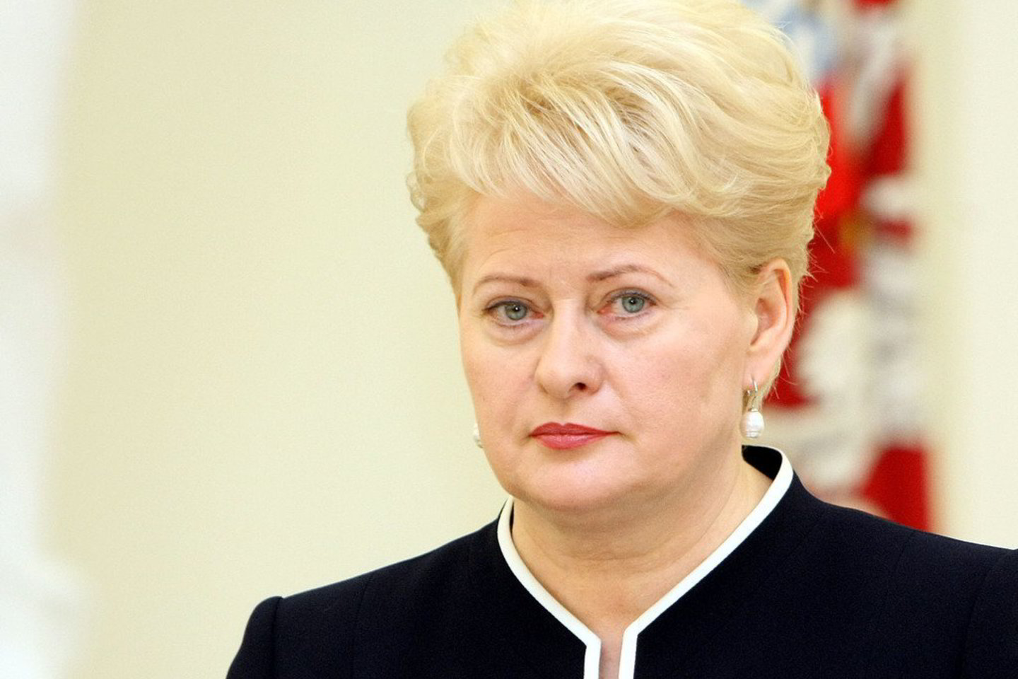 D.Grybauskaitė pritarė pataisoms.