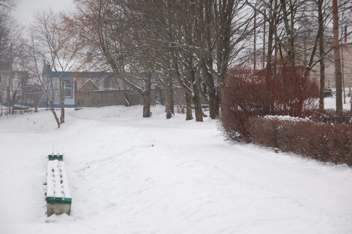 Vieta, kurioje įvyko mokinių konfliktas.