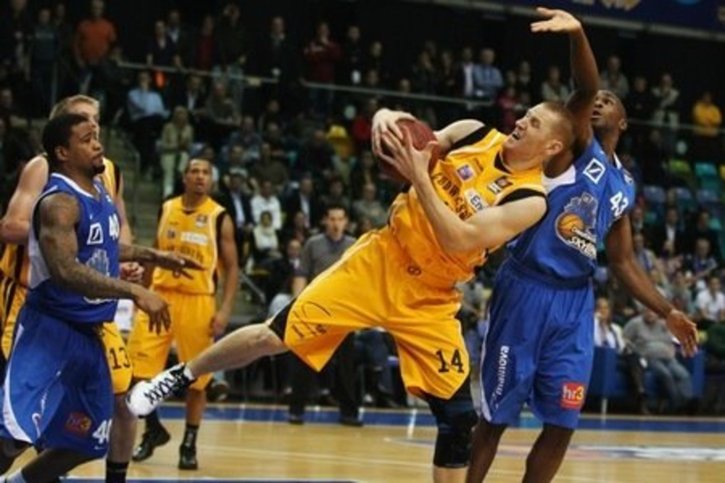 D.Zavackas.