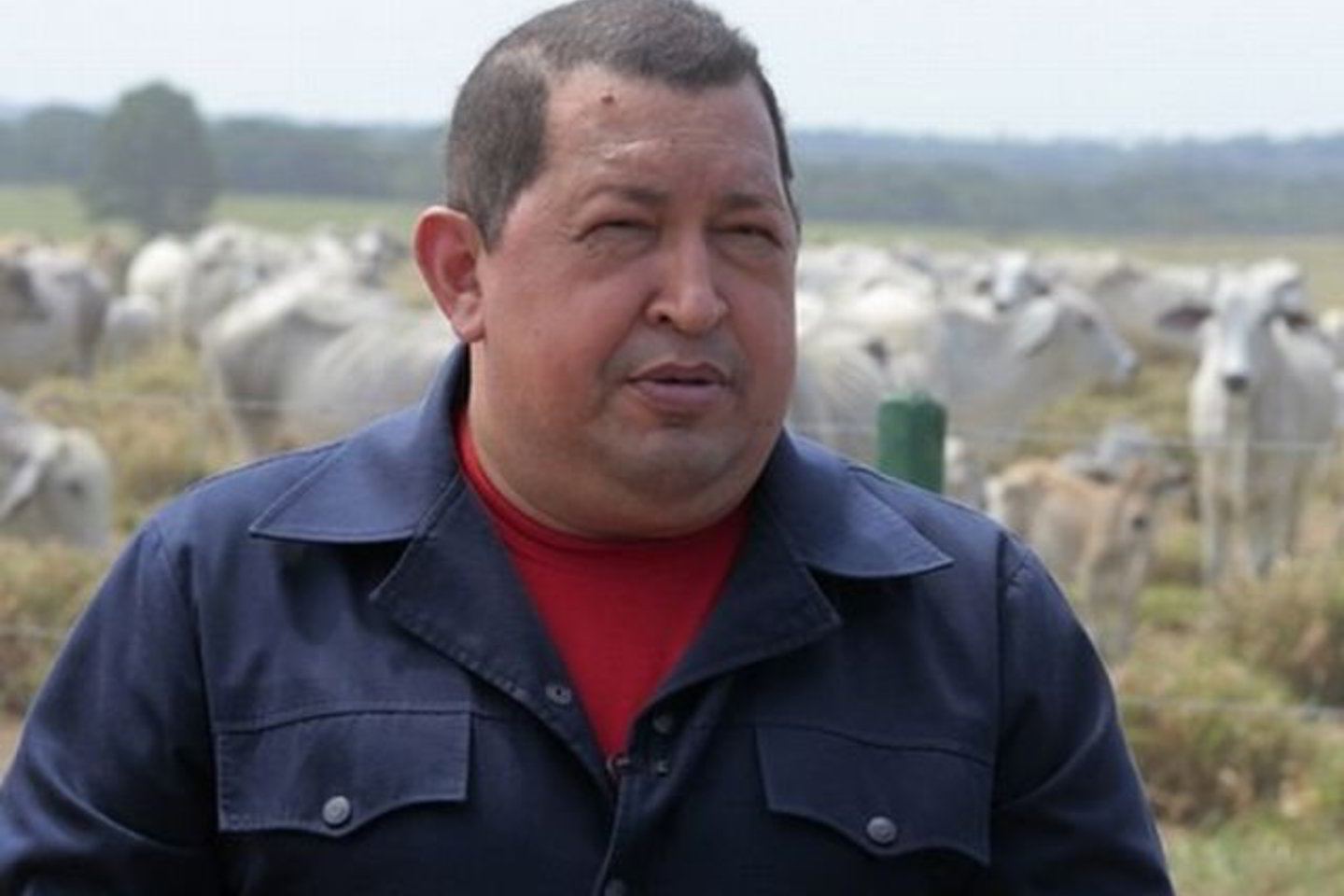 „Jeigu neįstengiate to padaryti, tuomet atiduokite bankus man“, - pareiškė H.Chavezas.