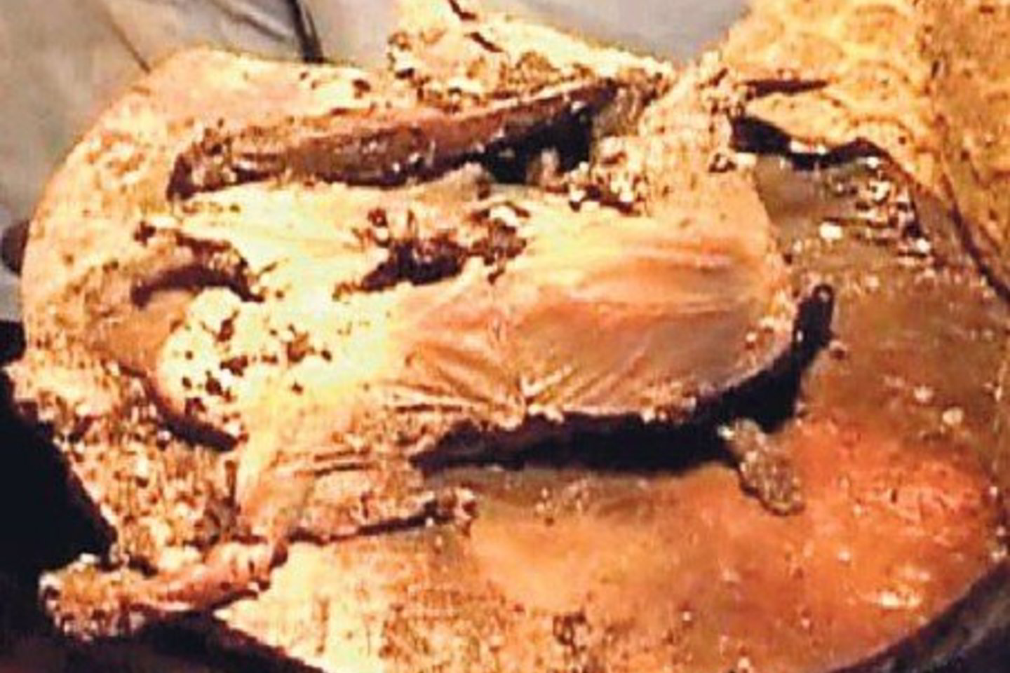 Ne vienas Tytuvėnų vienuolyne ugnies suniokotas auksakalių darbas verte prilygo Vilniaus katedros lobyno eksponatams.