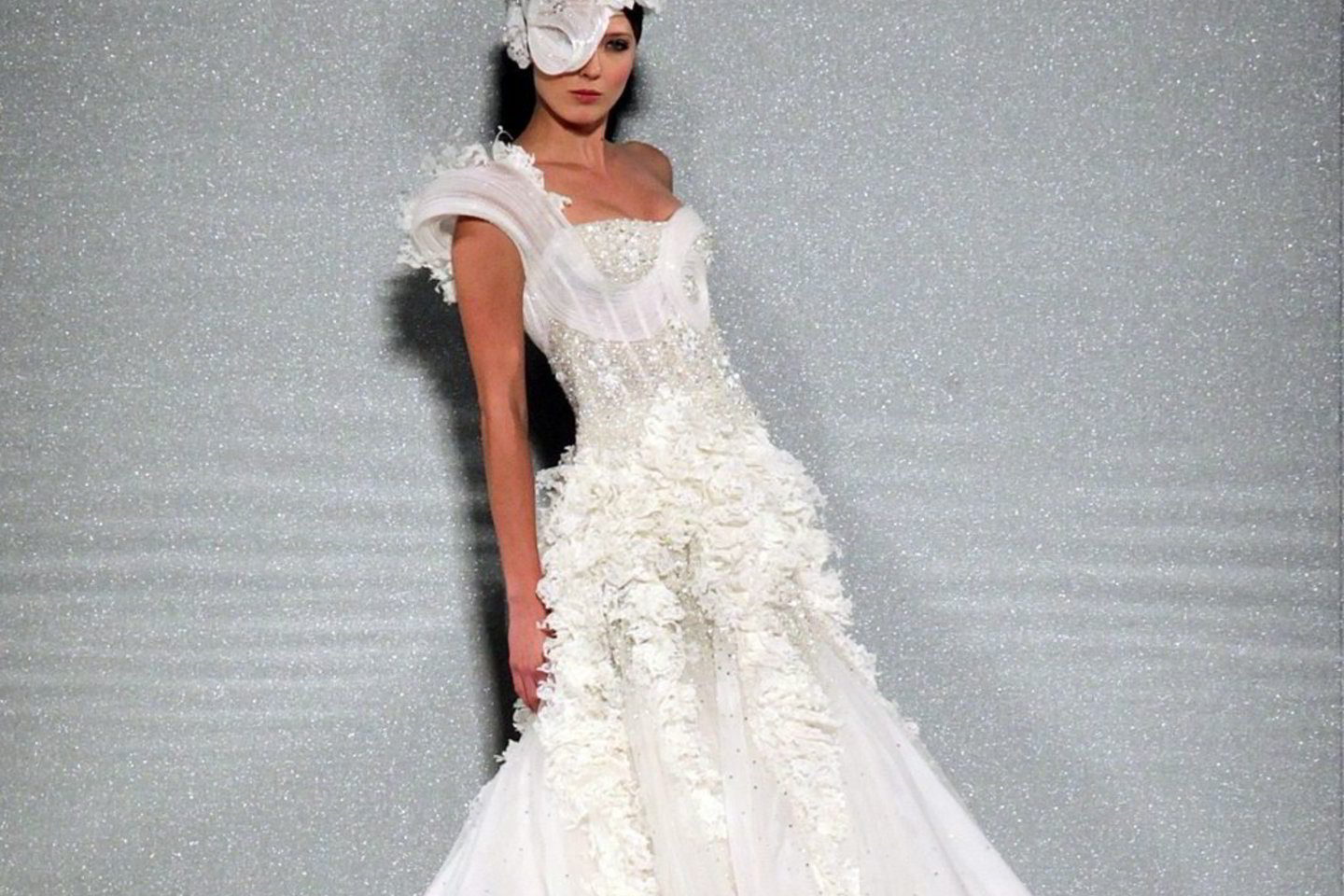 "Tony Ward" kolekcija.