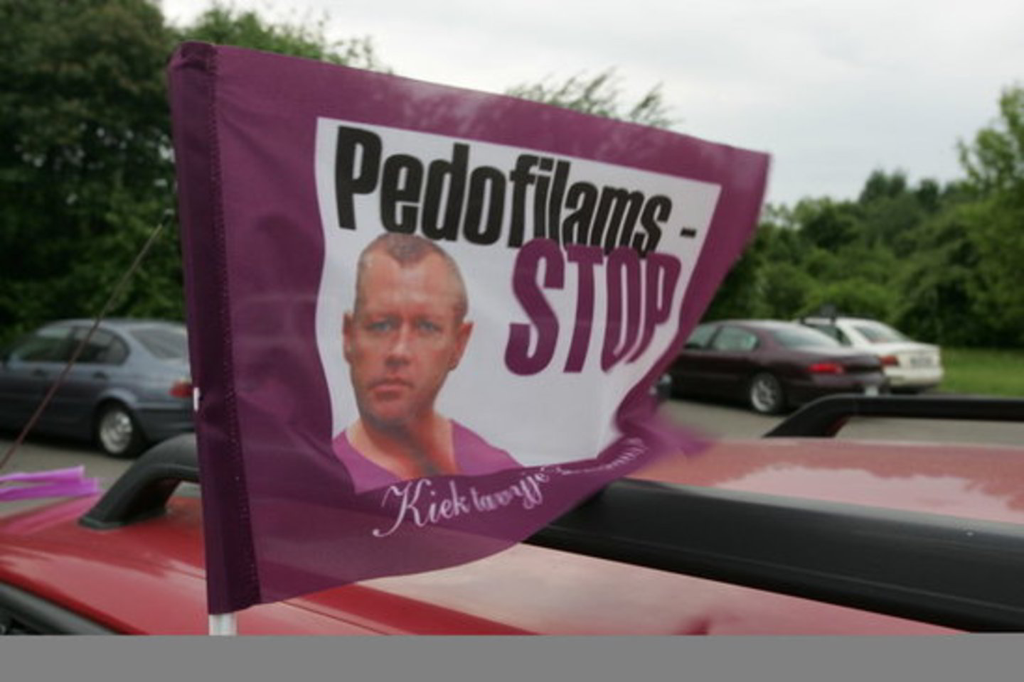 Po violetinės vėliavos priedanga kai kurie veikėjai siekia naudos sau.
