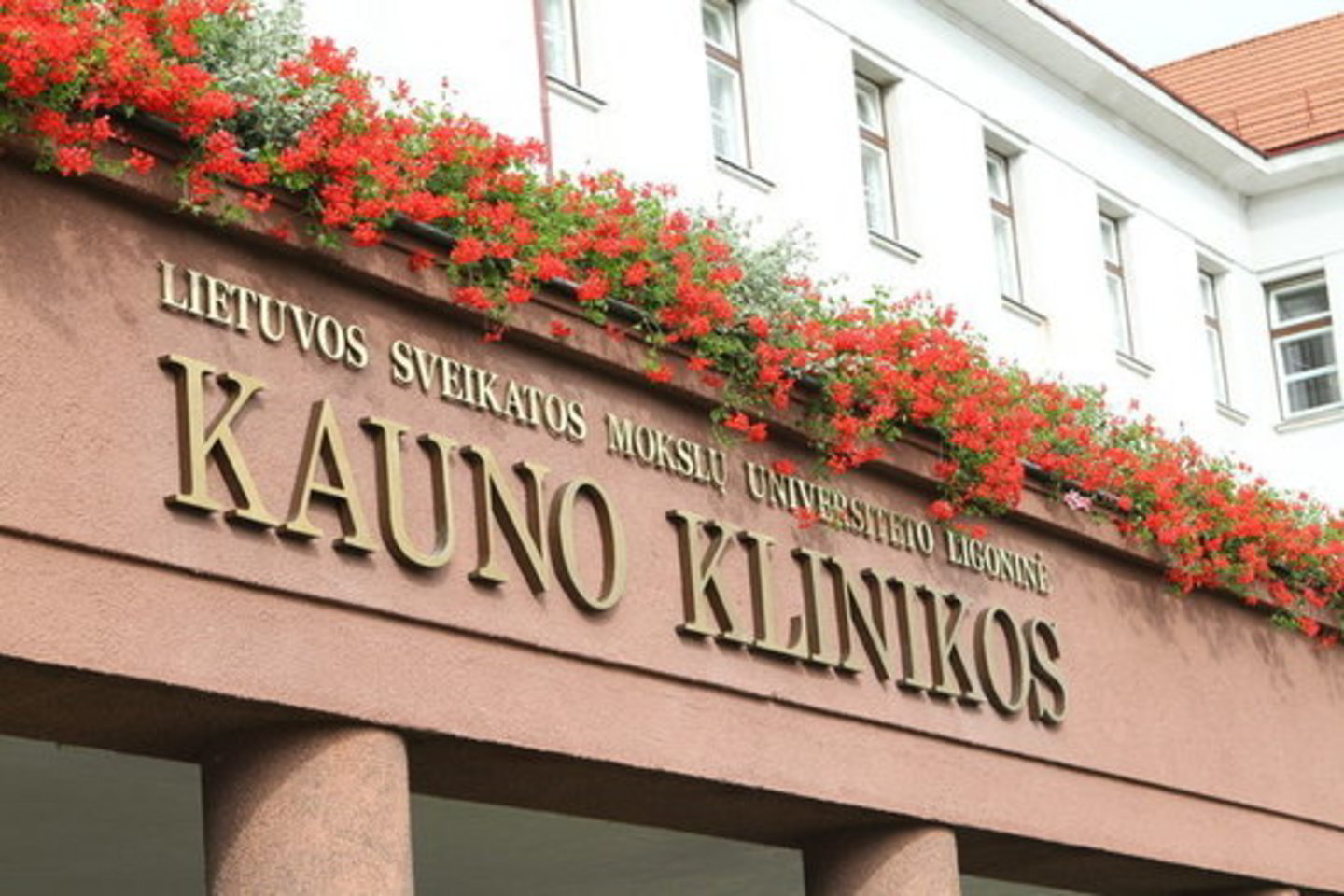 Visuomenės sveikatos biuro specialistai, kviesdami prisiminti, jog vasaris - sveikatingumo mėnuo.