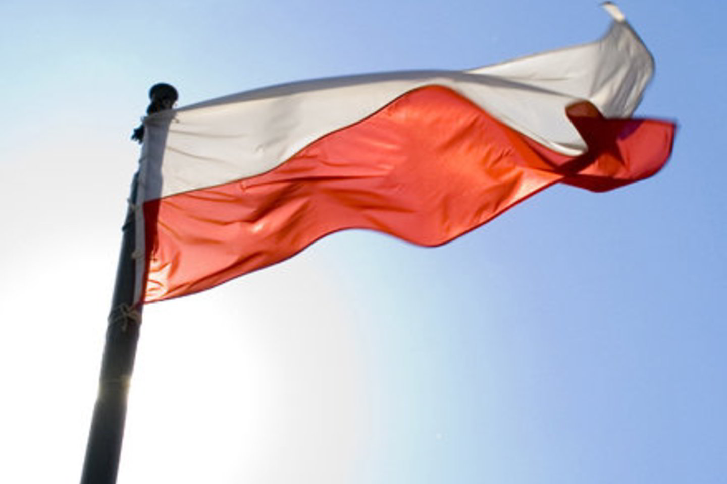 Norvegijos lenkų sąjunga pareiškė pageidaujanti, kad Lietuvos Vyriausybė užkirstų kelią bet kokiam lenkų tautybės asmenų persekiojimui Lietuvoje ir šioje srityje padarytus nusikaltimus griežtai baustų.