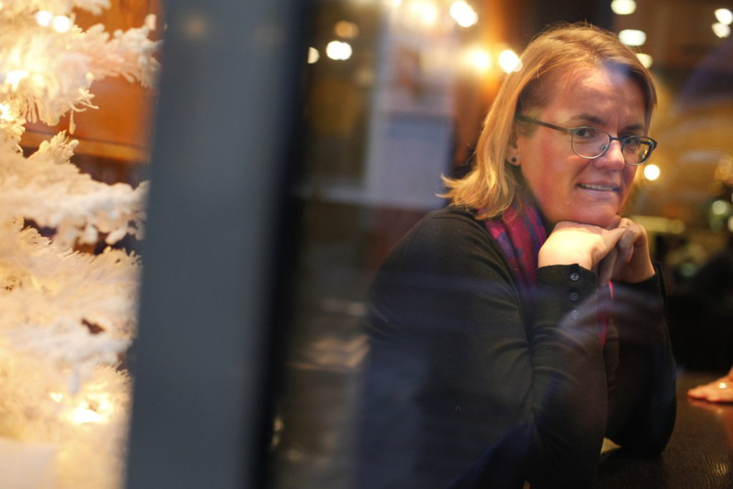 D.Budrytė dėsto politologiją Gvineto koledže (Georgia Gwinnett College) netoli Atlantos (Džordžijos valstija). Keturiasdešimtmetė skaito paskaitas apie JAV vyriausybę, globalius pokyčius ir tarptautinius santykius. Neseniai ji buvo paskirta prodekane (Assistant Dean for Faculty Evaluation), tad dabar vertina ne tik savo studentų, bet ir kolegų darbą.