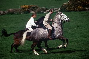 Pavasarį TV8 pasitinka su 40 romantiškiausių R. Pilcher meilės istorijų