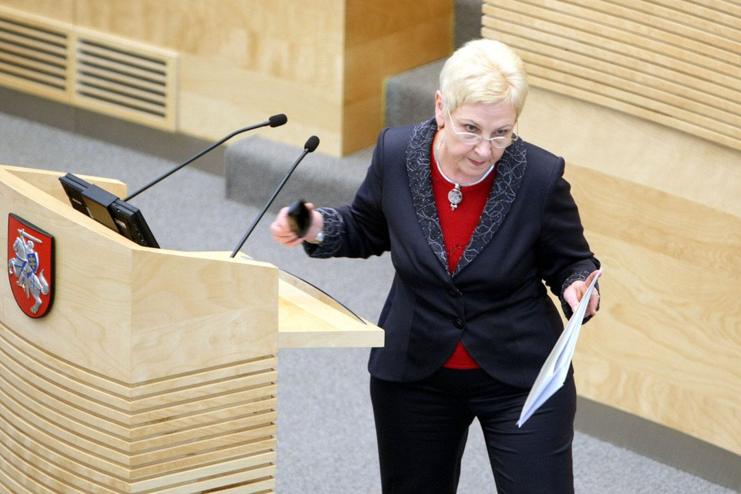I. Degutienė užregistravo interpeliaciją R. Palaičiui