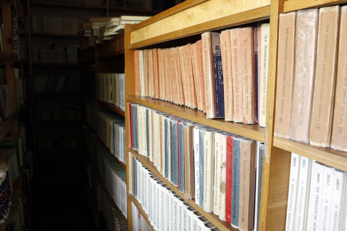 Kaip pavyzdį parlamentaras pateikia Šiaulių miesto viešosios bibliotekos situaciją.