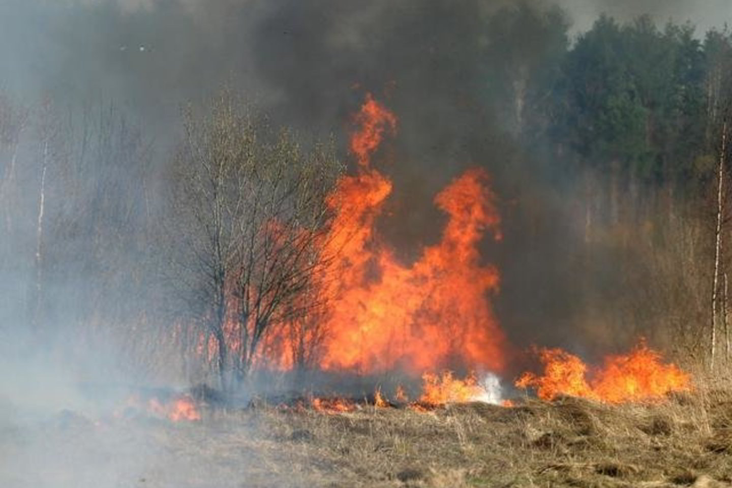 Prienų rajone, Pieštuvėnų kaime, nuo deginamos pernykštės žolės užsiliepsnojo medinis gyvenamasis namas.
