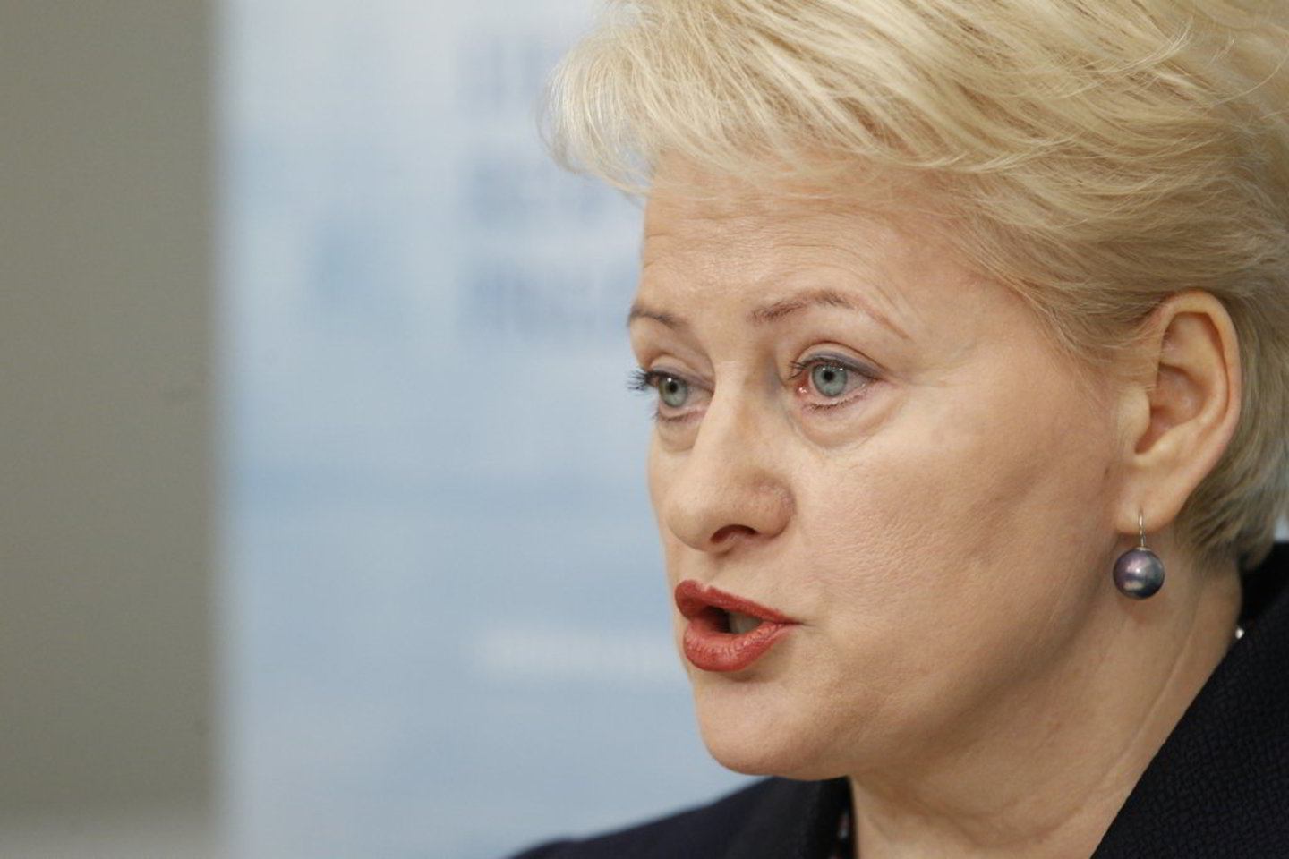 Po kompromiso pas prezidentę koalicija braška toliau