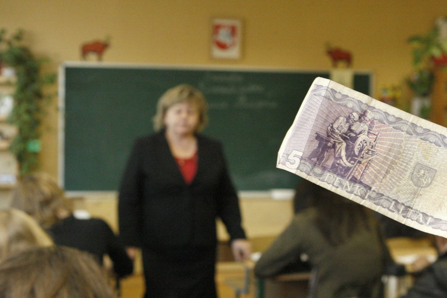 Istorikai mano, kad Lietuvos istorijos mokyklose mokoma per mažai.