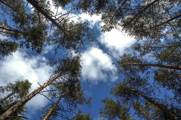 Pateikusiems paraišką – profesionalių konsultantų pagalba ūkyje