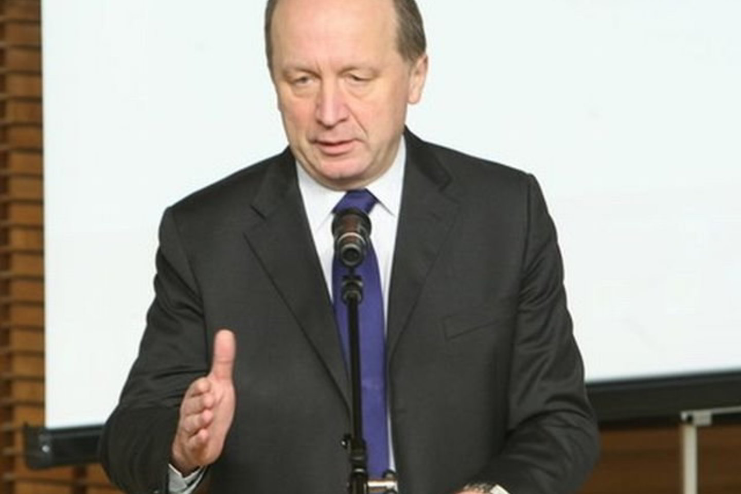 A. Kubilius pripažino, kad kliūčių sudaro ir per didelė biuriokratija.