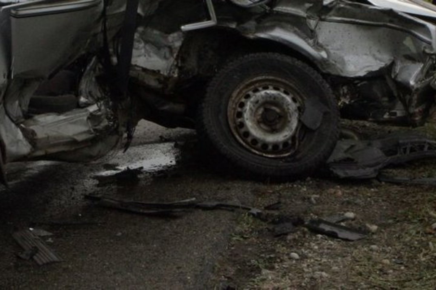 Eismo įvykio metu žuvo „Ford Mondeo“ vairuotojas bei su juo važiavusi jo sugyventinė N.Š., gimusi 1963 metais.