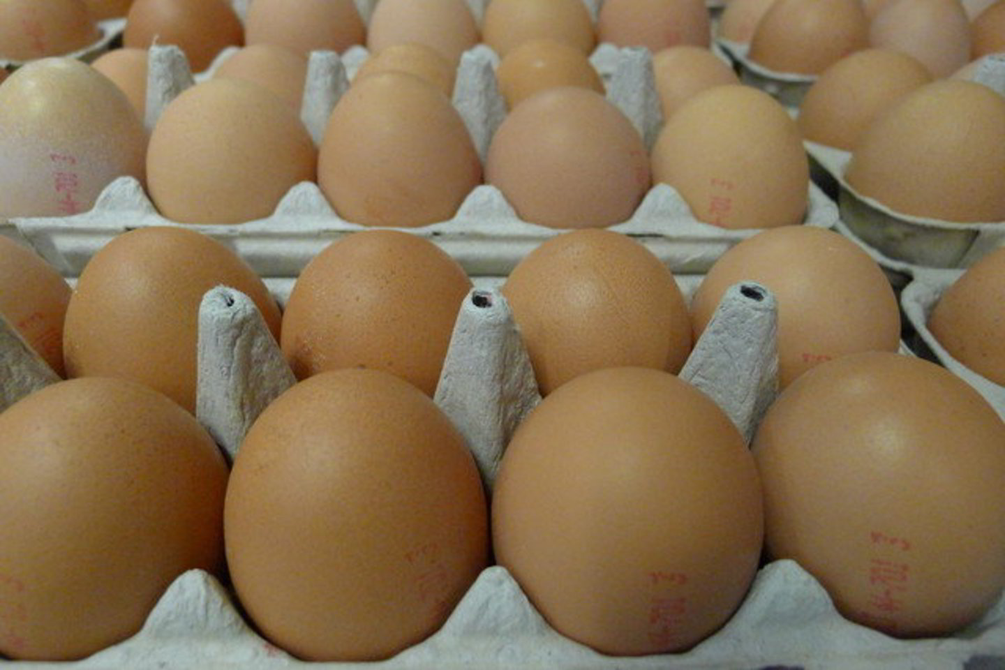 Ruošiant kulinarijos gaminius kiaušinį galima pakeisti kitais maisto produktais.