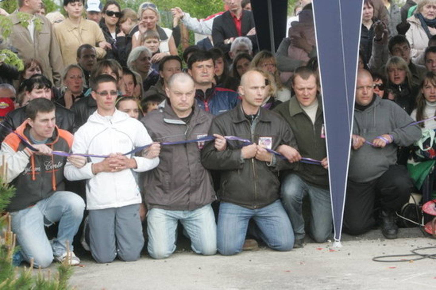 2010 metų gegužę buvo paruošti trys planai, kaip sutrukdyti dukters perdavimą L. Stankūnaitei.