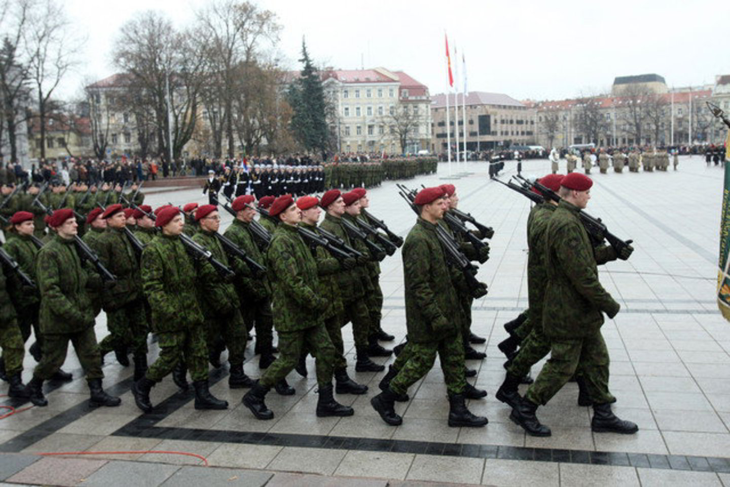 Šiuo metu Lietuvos kariuomenėje yra 7700 profesionalių karių ir 4215 savanorių.