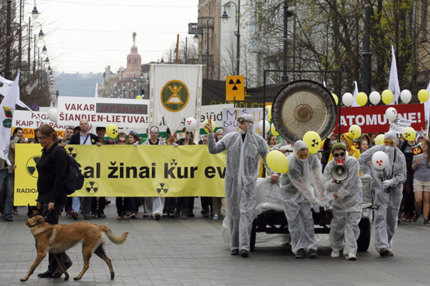 Žalieji ragina referendume išsiaiškinti, ar Lietuvai reikia naujos AE.