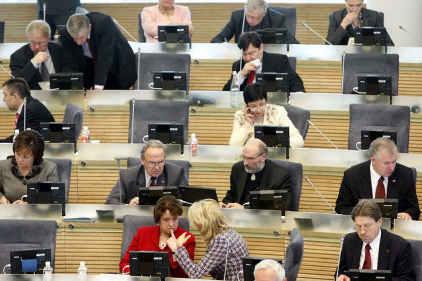 Prašyme buvo teigiama, kad nustatytu teisiniu reguliavimu ribojama mažesnių partijų galimybė dalyvauti valdant valstybę ir formuojant politiką, nes jos neturi daug narių, ir be valstybės finansavimo joms egzistuoti ir aktyviai reikšti savo politines idėjas yra sunku.