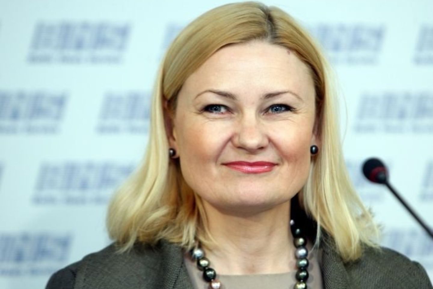 „Valdžia proteguoja valstybines mokymosi įstaigas“, - įsitikinusi LLRI specialioji ekspertė R. Vainienė.