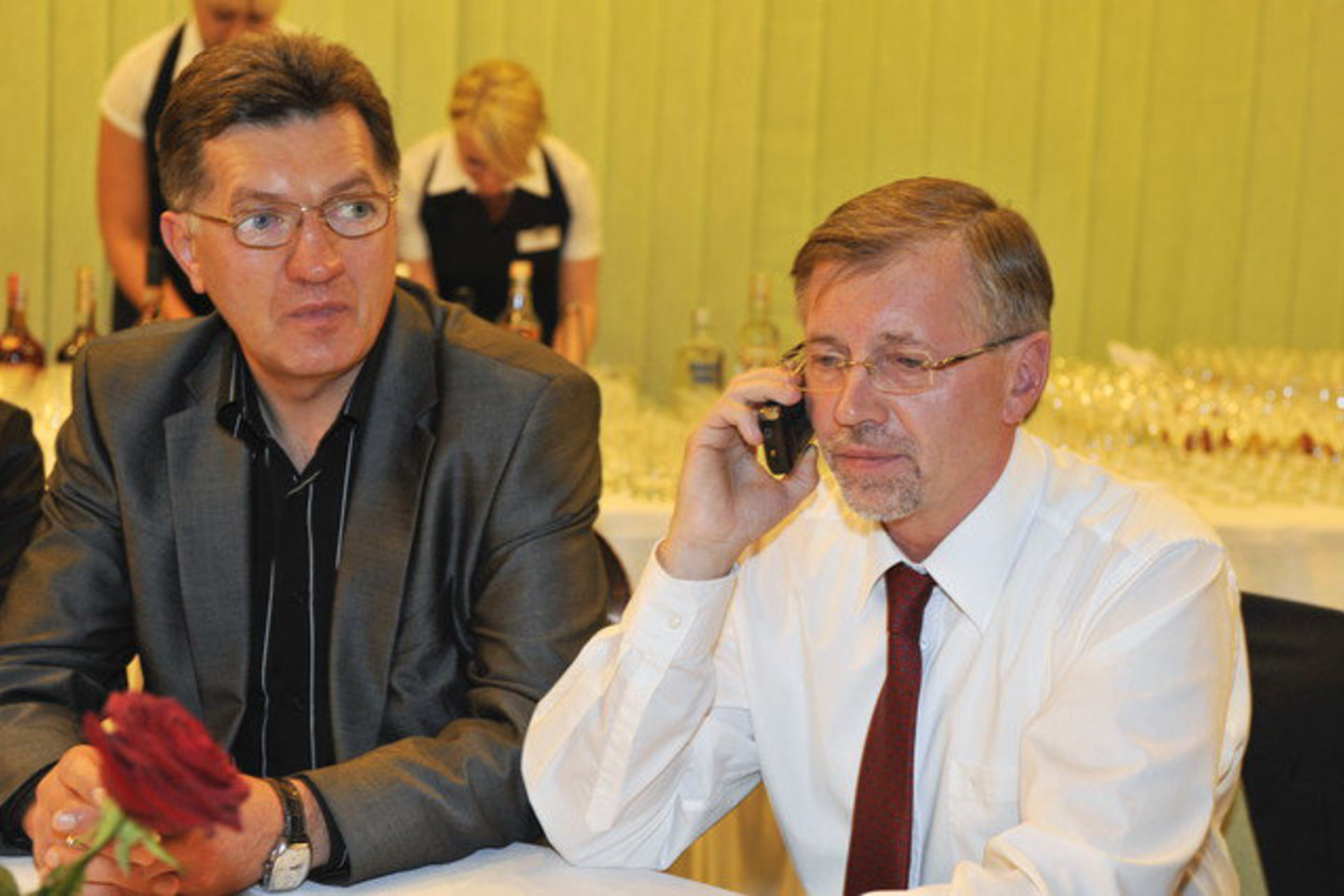 2010 metų pabaigoje socialdemokratai nurodė turintys 18,8 tūkst. narių.