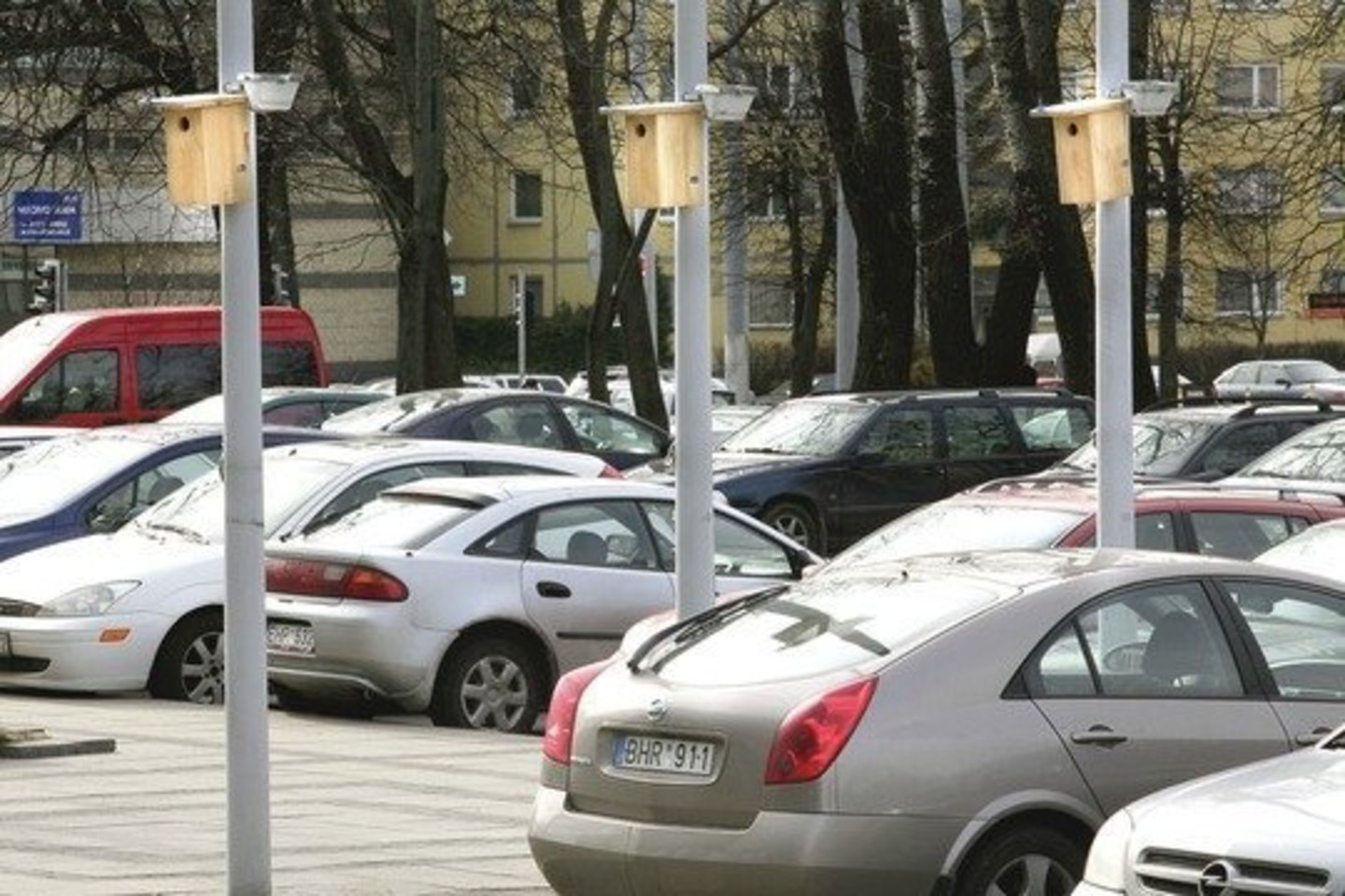 Apsaugininkai tikina, kad viename šių inkilų jau buvo pasirodęs paukštis.