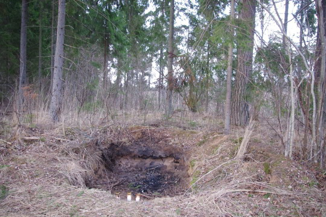 Utenoje dingusios pedagogės K. Vanagienės mįslė atvedė į mišką (papildyta)