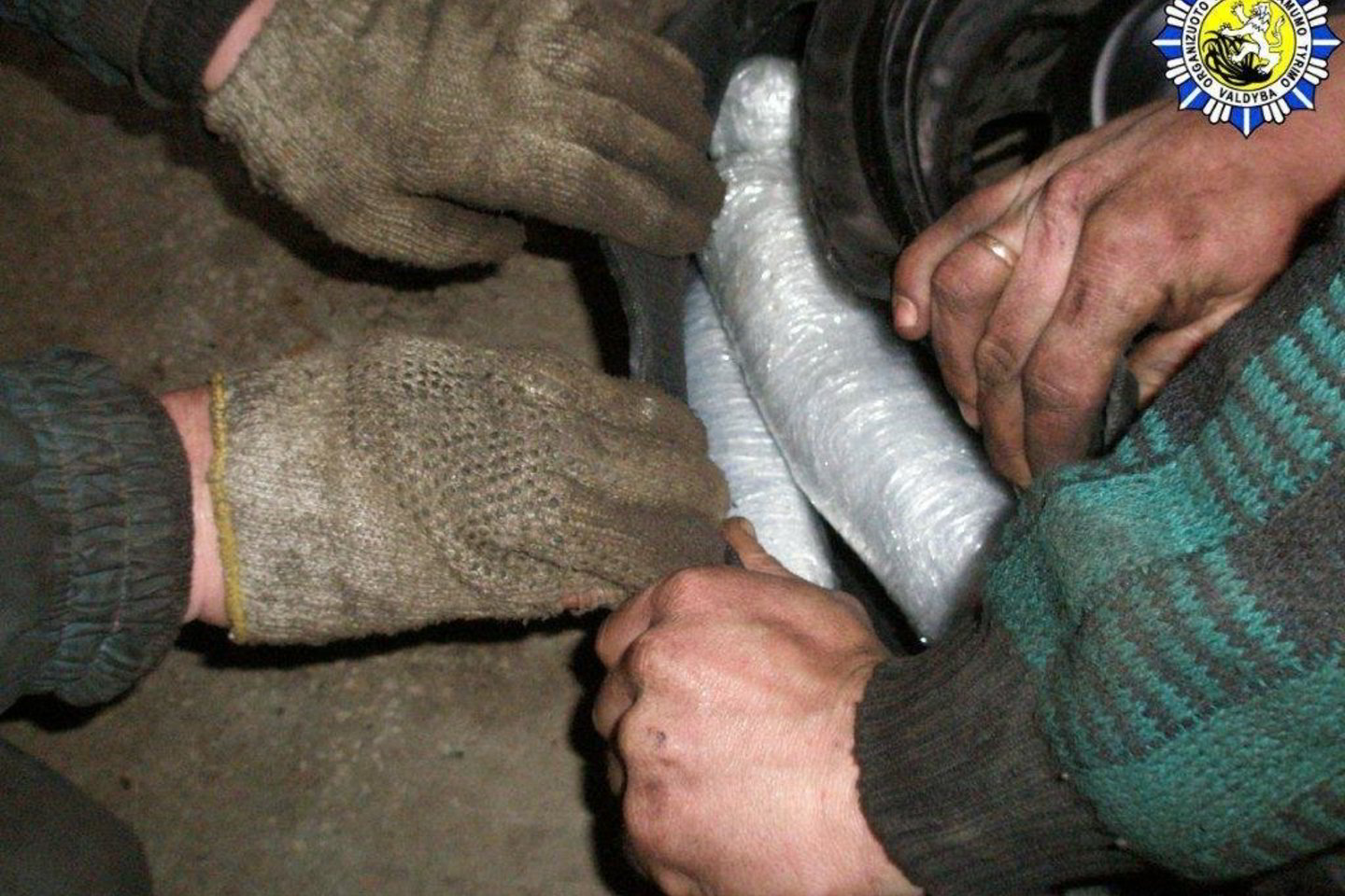 Kanapės iš jų dalys buvo slepiamos automobilio rate.