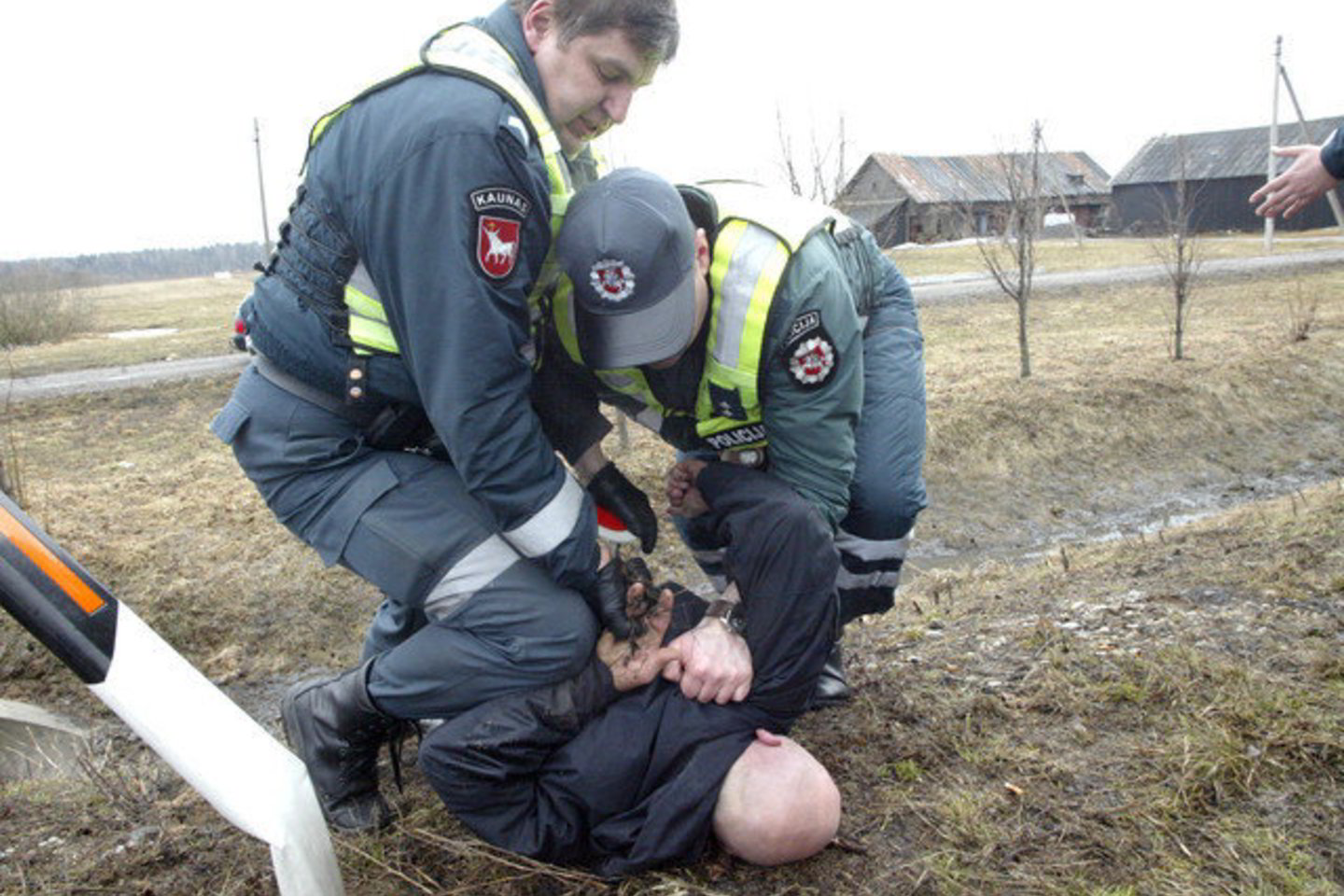 Sostinės policija sulaikė mašinvagius, plėšiką ir moters skriaudikus.