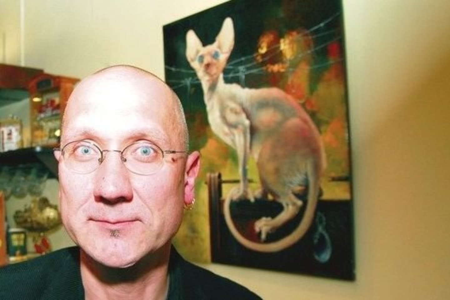 A. Mėčius: „Kažkam tai – tik katinas, o man – kūrybos versmė ir įkvėpimas.”