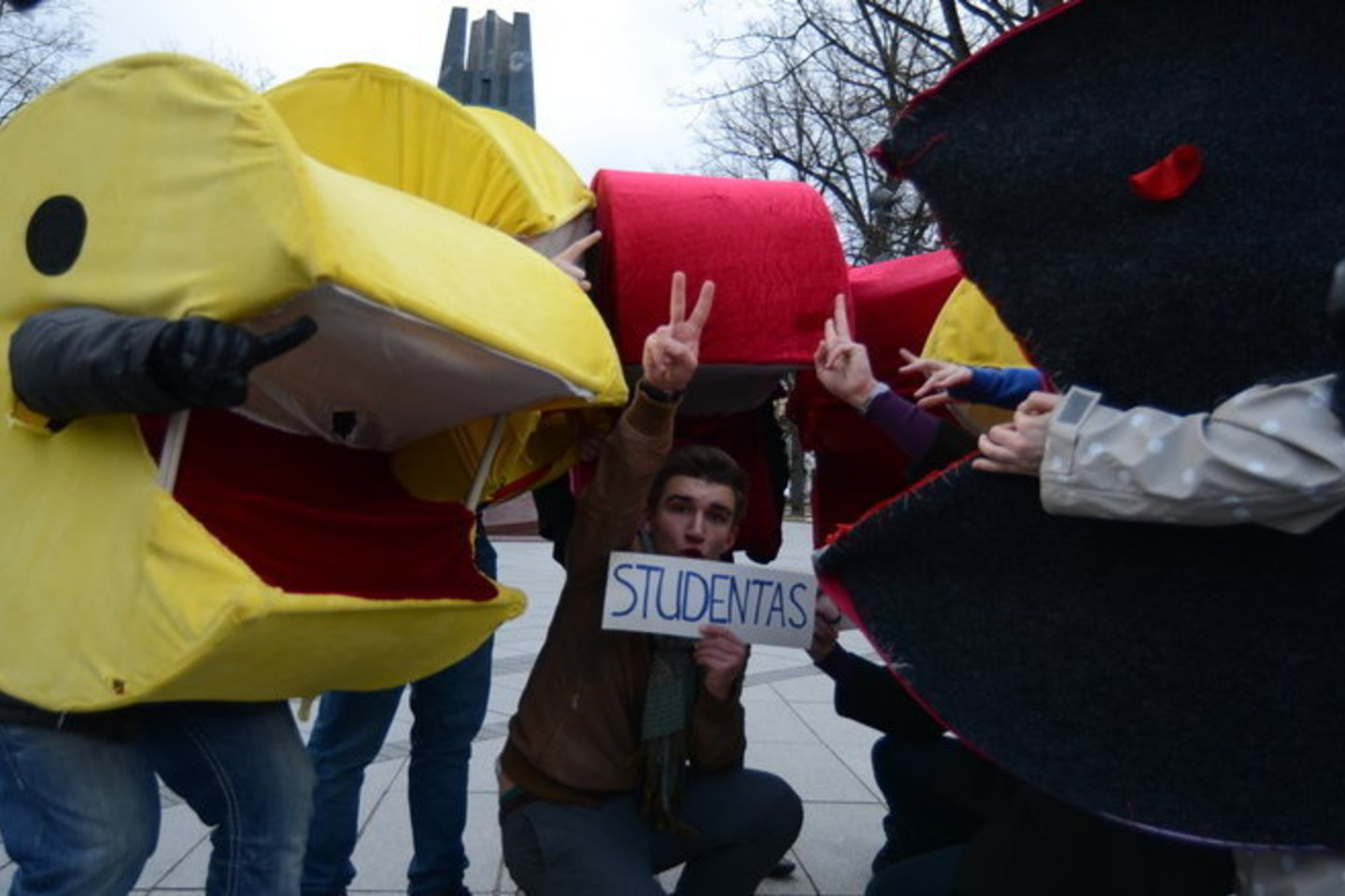 Antradienį Vilniuje studentai surengė akciją, skirtą palaikyti antro studentų atstovo įtraukimą į aukštųjų mokyklų tarybas.