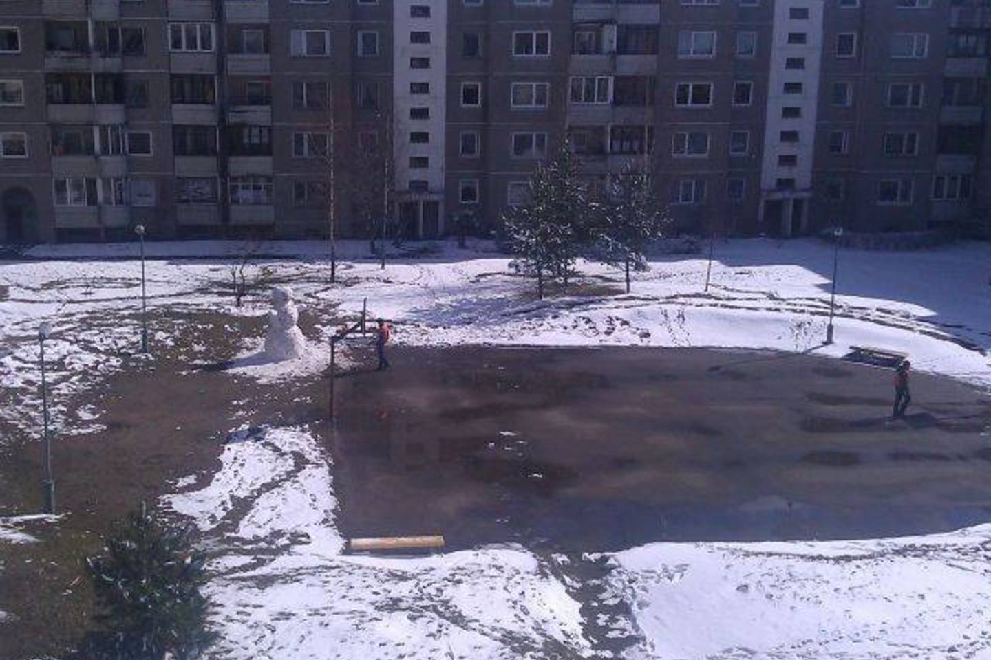 Senis besmegenis iškilo Pilaitės kieme.