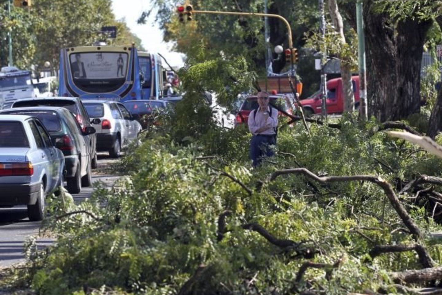 Audra, kurią lydėjo stiprūs vėjai, pridarė žalos regione aplink sostinę Buenos Aires.