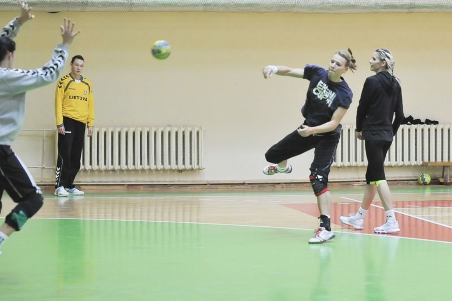 V.Ščiavinskas