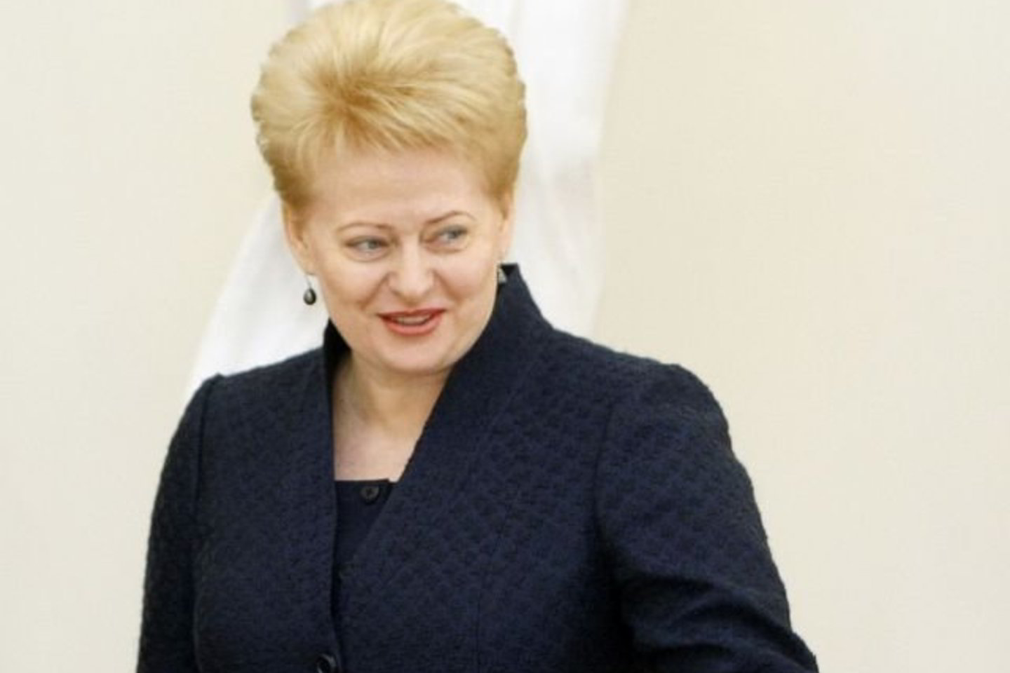 Oficialūs Prezidentūros pranešimai rodo, kad tiek prieš šį renginį, tiek po jo, į susitikimą Vilniuje kvietė ir prezidentė.