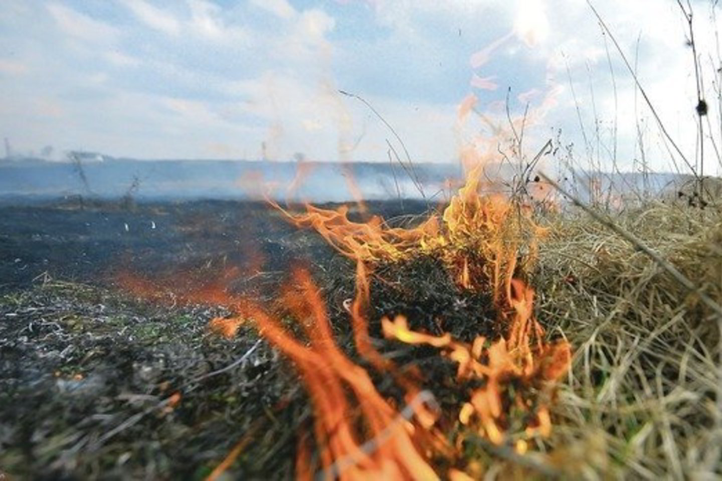 Nors ES išmokas gaunantys ūkininkai dėl degančios žolės gali jų netekti, daugelis vis tiek nusprendžia rizikuoti.