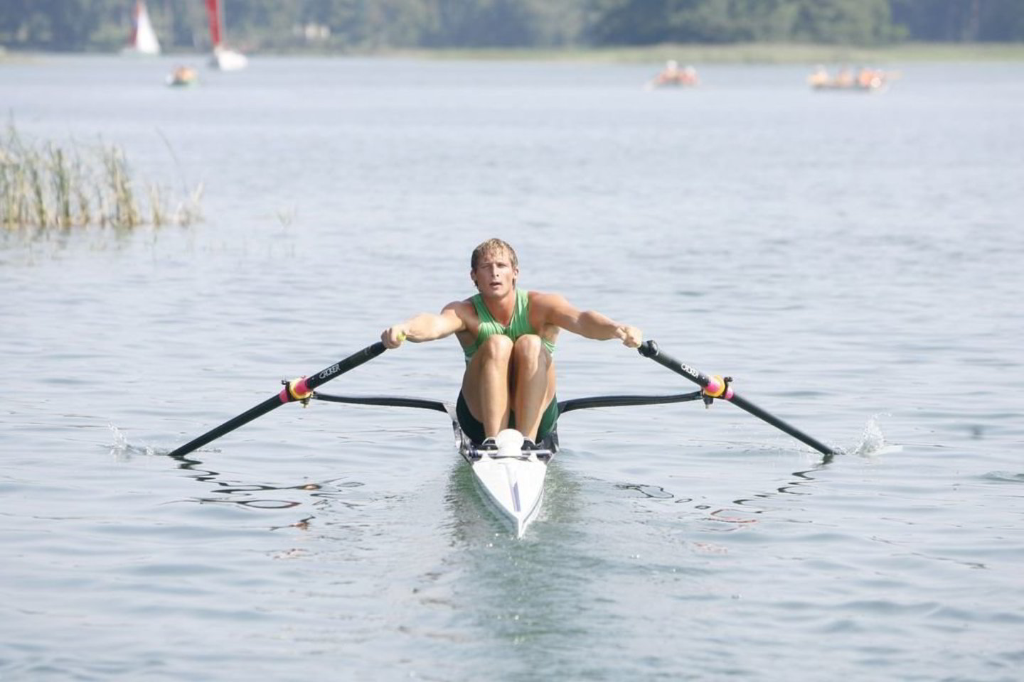 M.Griškonis